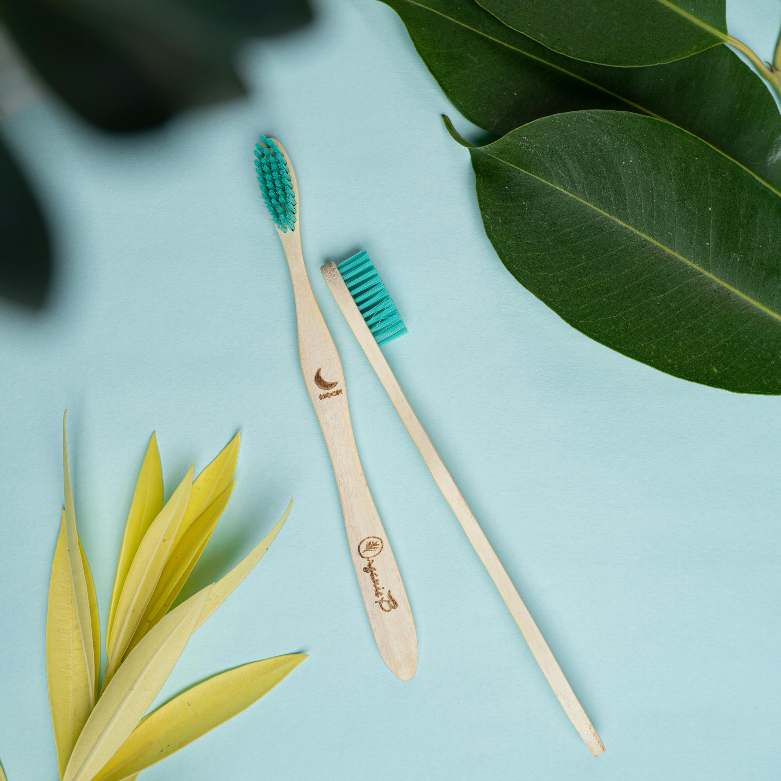 Flat lay of bamboo toothbrushes with green leaves on a soft blue background, promoting eco-friendly health.